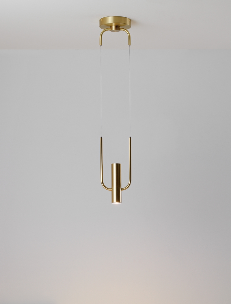 Golden Metal Hanging Lamps Indoor Pendant Lighting (4208101)